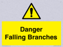 danger-falling-branches~